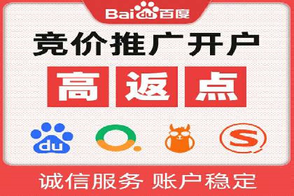 百度广告投放策略优化的经典案例